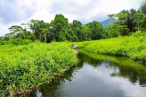 3 Day Manu Amazon Rainforest (Private Tour)
