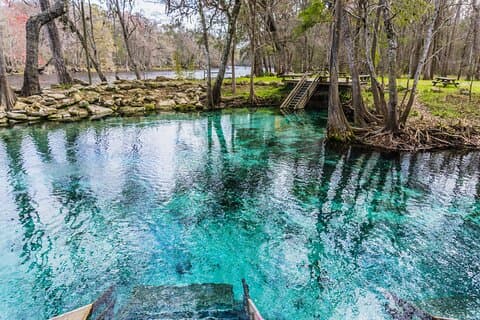 Crociera sul fiume St. Johns - Blue Spring State Park