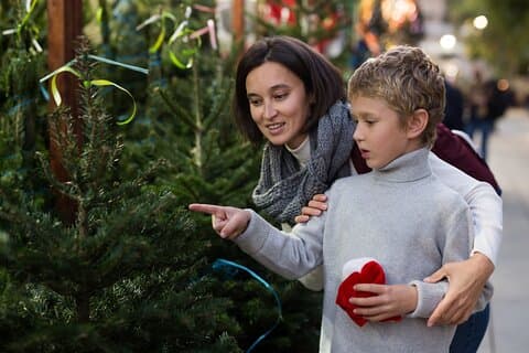Berat’s Christmas Magic : Private Un paseo festivo
