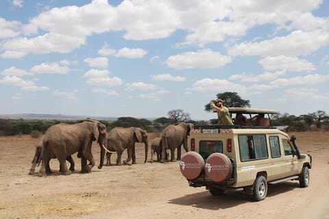 4 días cráter Tarangire Serengeti Ngorongoro