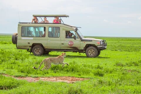 Safari de rango medio de vida salvaje en Tanzania de 6 días