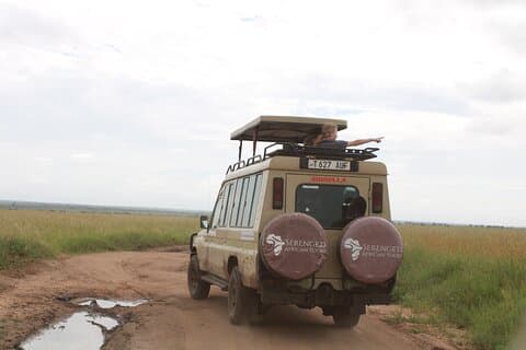 2 dagers luksuriøs safari i Tanzania