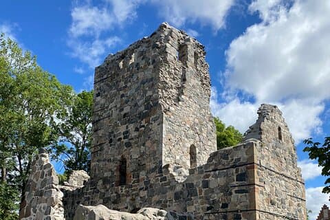 Private Tour to Sigtuna, Uppsala with Viking Sights by Limousine