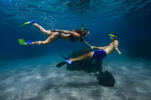Turtle Town Signature Snorkel : Fotos & Video Complementario
