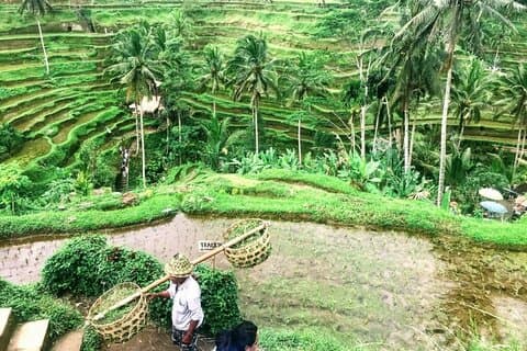 Private ture til hjertet af Bali Island
