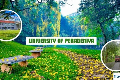 UDFORSK UNIVERSITET PERADENIYA-KANDY HALVDAGS PRIVAT TUR VED Tuk