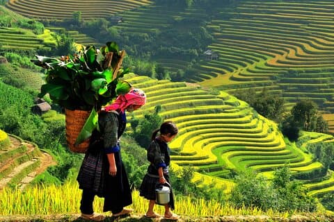 Fra Hanoi: 3-dages Sapa Trekking og bustur fra Hanoi