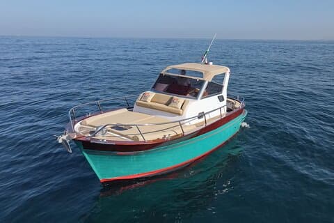 Desde Sorrento: tour privado en barco por Capri y la Gruta Azul