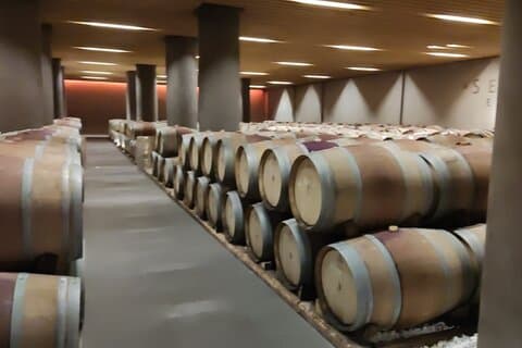 Privat tur i Nafplio med vinsmagningstur i Nemea.