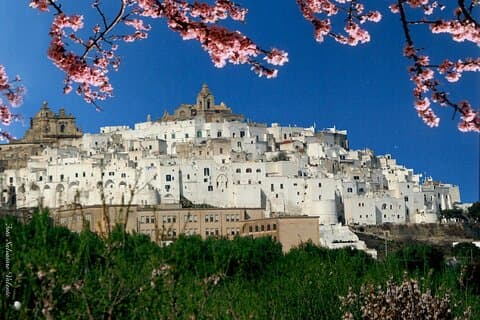 Puglia's White Gems: Private Alberobello & Martina Franca