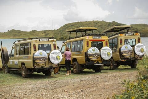 6 jours de safari en lodge de milieu de gamme dans le Serengeti Big Five en Tanzanie