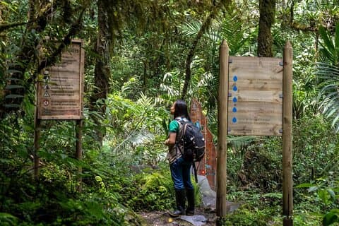 Trekking / wandelen Yarumo Blanco-waterval vanuit Pereira of Armenië