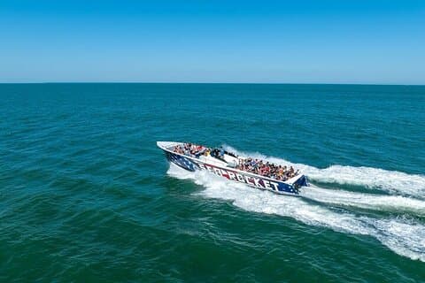 EARLY BIRD ESPECIAL: Speed Boat & Dolphin Cruise em Ocean City, MD