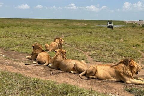 7-daagse privésafaritour in Tanzania