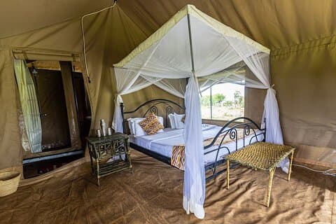 5-dagers Northern Tanzania Group Safari (avgår hver fredag)