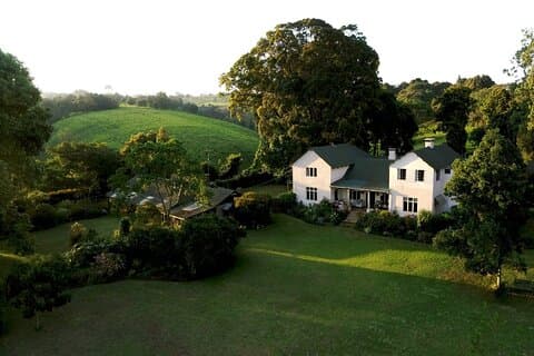 Dagstur til Kiambethu Tea Farm i Limuru fra Nairobi