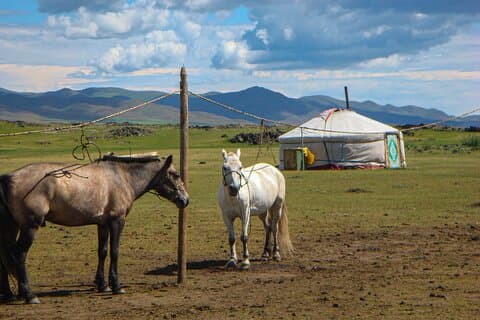 Tour de 6 días: lo mejor de Corea del Sur y Mongolia