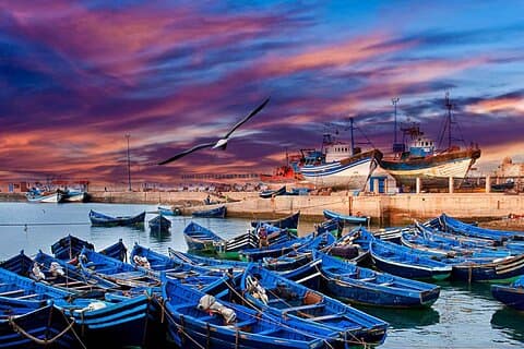 Tour di un'intera giornata Essaouira: esplora Mogador e la costa da Marrakech