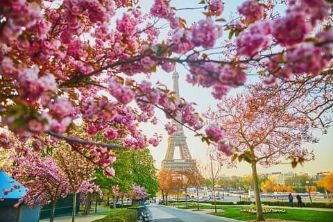 Halvdag privat rundtur i Paris med en lokal