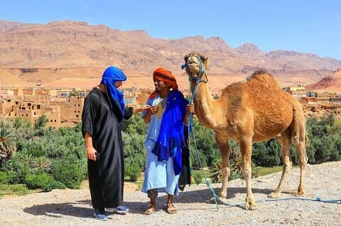 Fes Private full Day Trip from Tangier & back with Transport