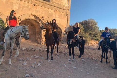 Horseback riding on Essaouira beach with transport