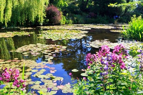 Giverny privato andata e ritorno e biglietto d'ingresso da Parigi