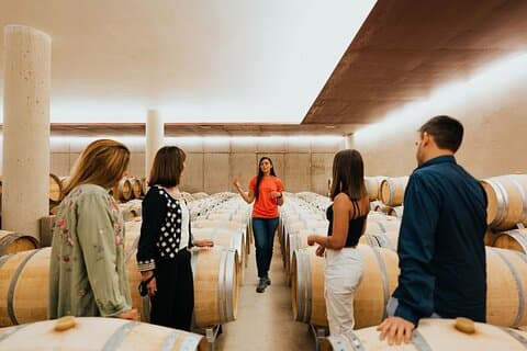 Da Milano: tour privato del vino Barolo con autista privato