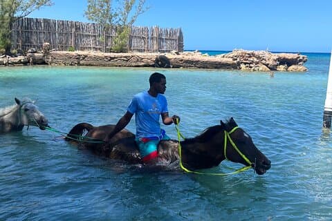 Bamboo Rafting & Horseback Ride n Swim Guided Tour In Montego Bay