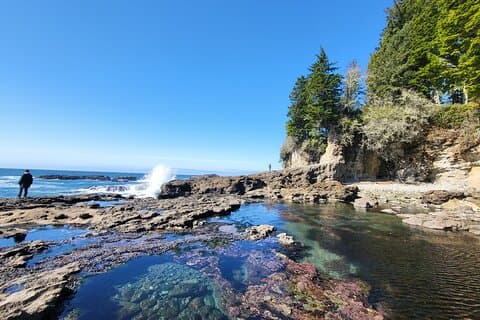 2Day Adventure with Beaches Rainforest Cabin on Vancouver Island