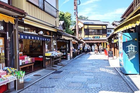 Kawagoe Sightseeing and Experience Tour to Harvest Local Foods