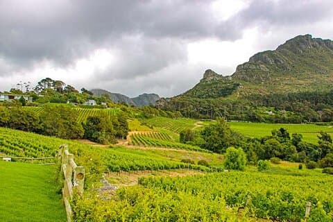 Excursão privada de vinho de dia inteiro em Paarl Franschhoek e Stellenbosch