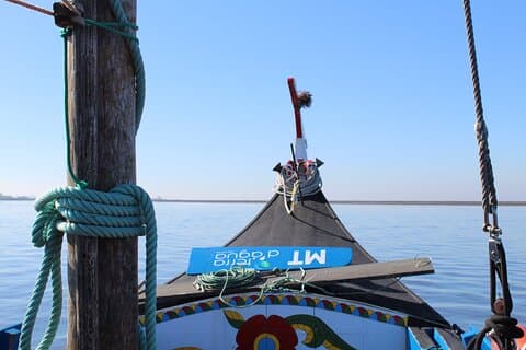 Passeio de barco Moliceiro, com experiência na apanha de Bivalves