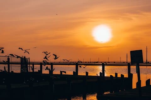 Location de ponton 2-Hr Sunset Ultimate Party à Chincoteague Island