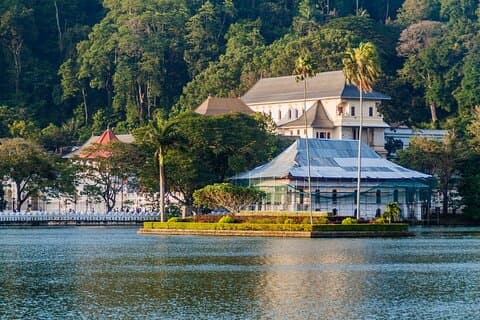 Kandy-dagstur med tefabriksbesøg fra Negombo