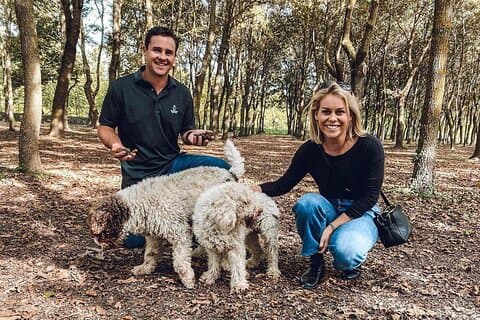 Experience Tuscan Truffle Hunting with Wine and Lunch