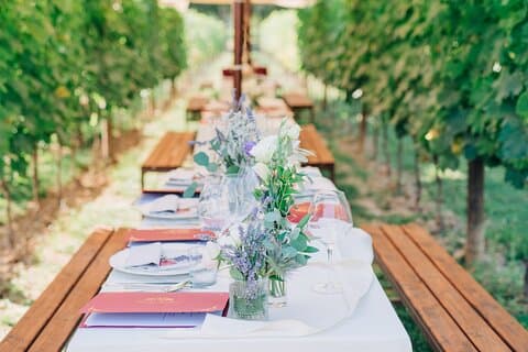 Romantisches Abendessen in den Weinbergen von San Gimignano
