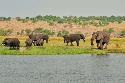 9 dages ekspedition fra Victoria Falls Chobe NP Maun