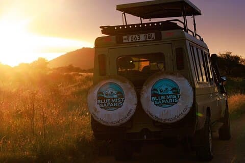 7 dagen all-inclusive premium safari-avontuur in Tanzania