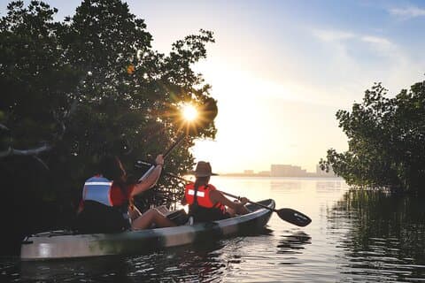Lagon Nichupté ! Expérience de kayak dans les mangroves au départ de Cancun