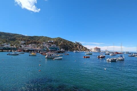 Catalina Scavenger Hunt Walking Tour and Game