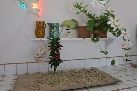 4 Hours Orecchiette Cooking Experience near Otranto