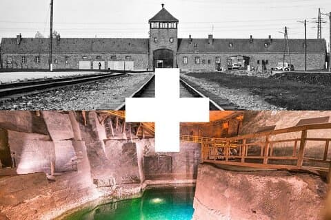 Från Krakow: Guidad tur i Auschwitz & Wieliczka saltgruva