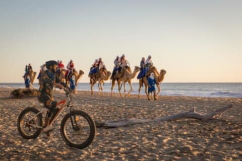 Electric Bike and Beach Camel Ride with Mexican Buffet Lunch