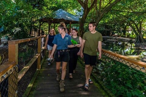 Daintree, Mossman Gorge e excursão pela vida selvagem saindo de Cairns