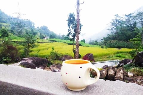 Magical Sunrise at Tiger Hill Darjeeling with Himalayan Views