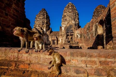 Bangkok til Ayutthaya Lopburi Monkey Temple, største Buddha-tur