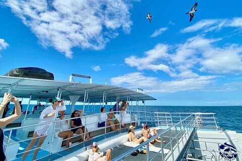 Flamingo Family Fun Catamaran Snorkel: Komfortable skyggelagte sitteplasser