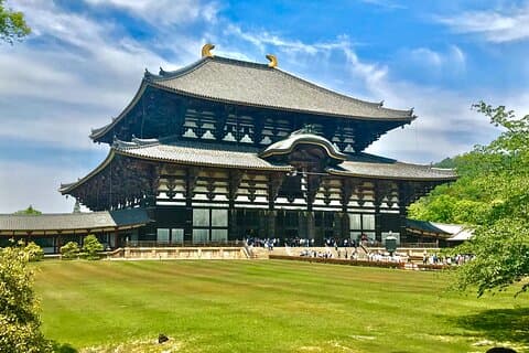 Guidet tur i Todai ji og Nara Park (guide på spansk)