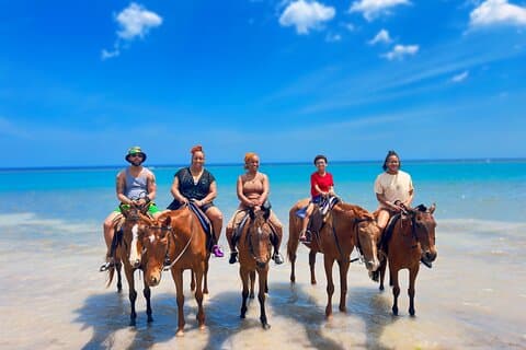 Geführte Tour zu den Dunn’s River Falls und zum Reiten und Schwimmen