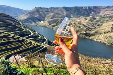 Privat Douro-tur med frokost-vinsmagningsbåd og togkrydstogt